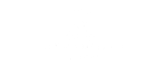 Design sem nome - 2024-08-22T140623.087